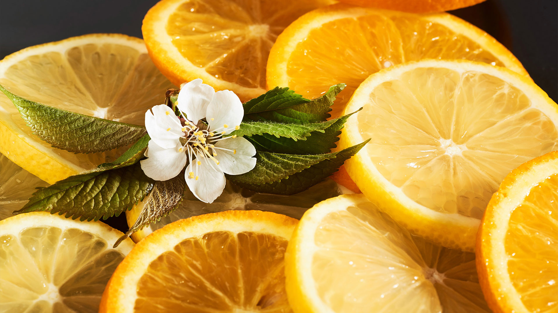 What Are the Top Notes Typically Found in Citrus Perfumes?