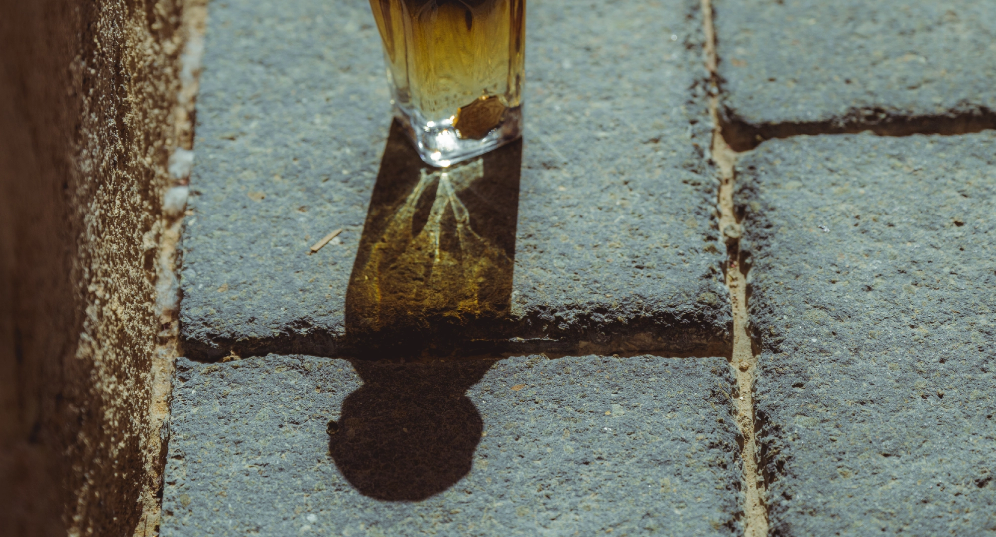 Discover Your Premium Perfume in Abu Dhabi, UAE