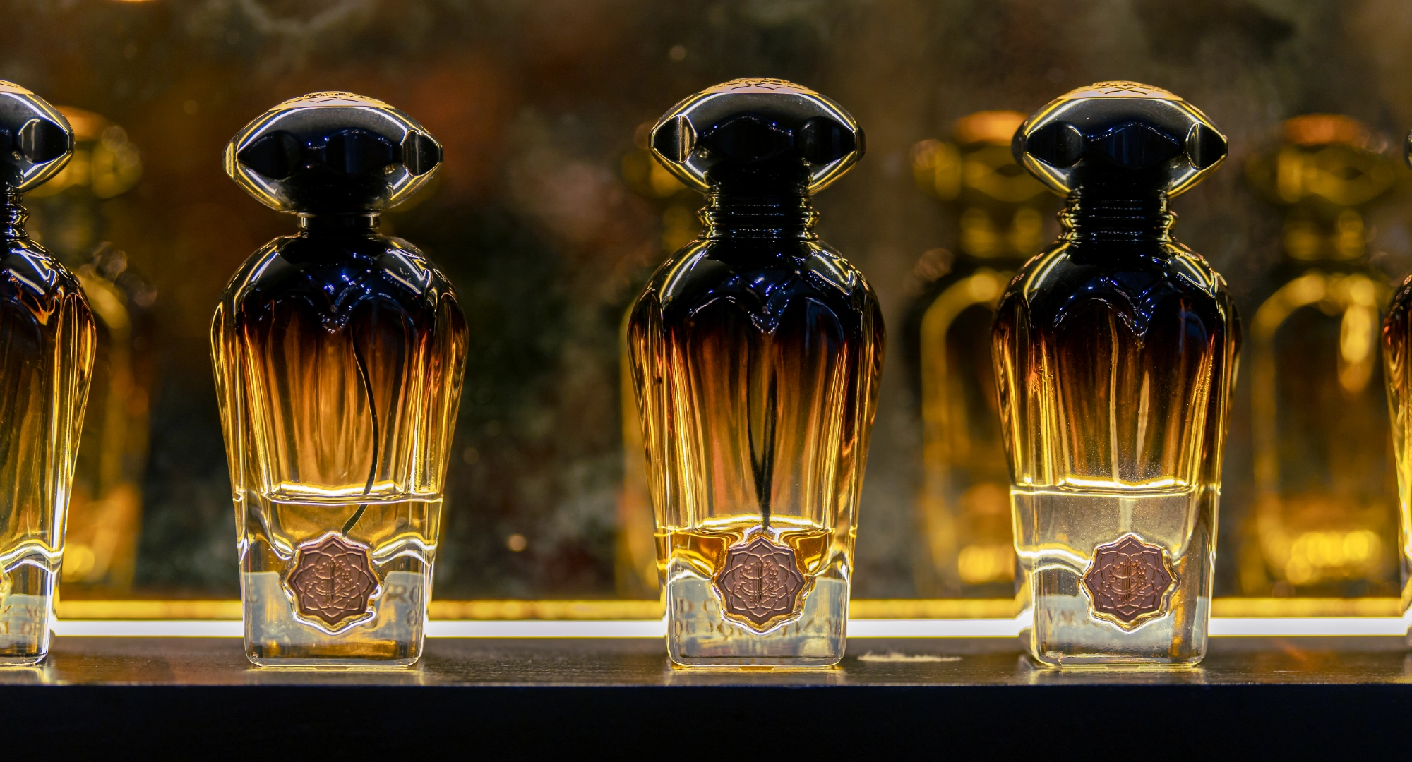 Our Best-Selling Long Lasting Perfumes Loved in the UAE