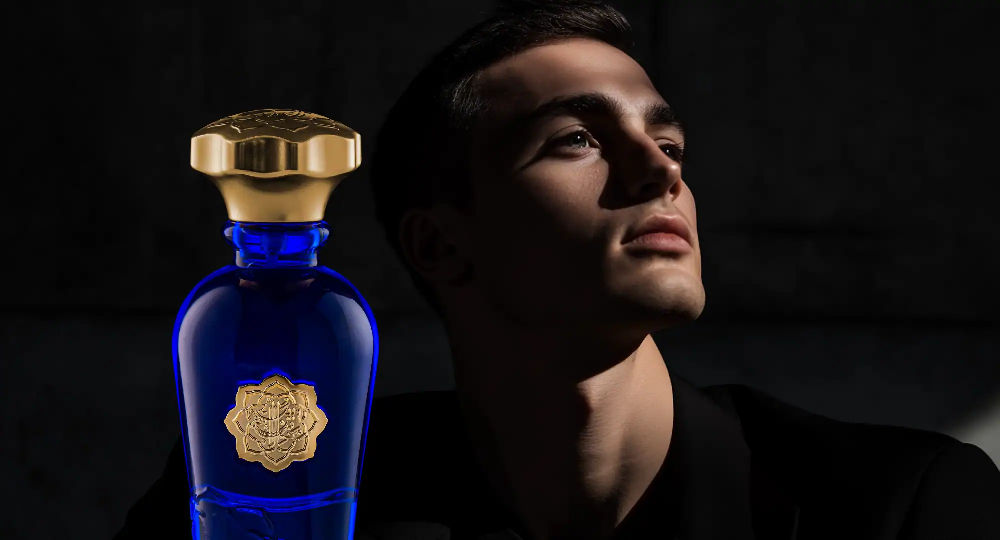 Buy the Top 10 Men's Perfumes – Signature Scents You’ll Always Reach For