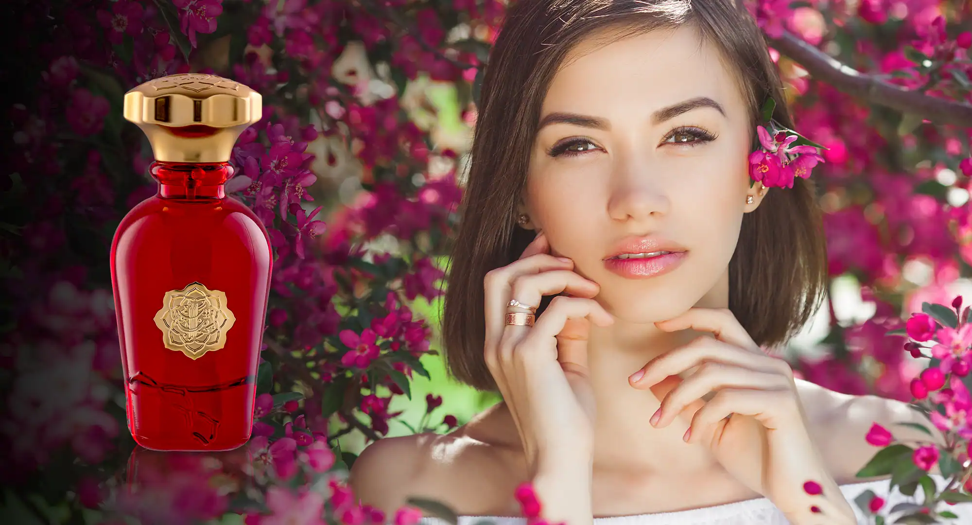 Looking for a Gift? These Perfumes Are Always a Hit