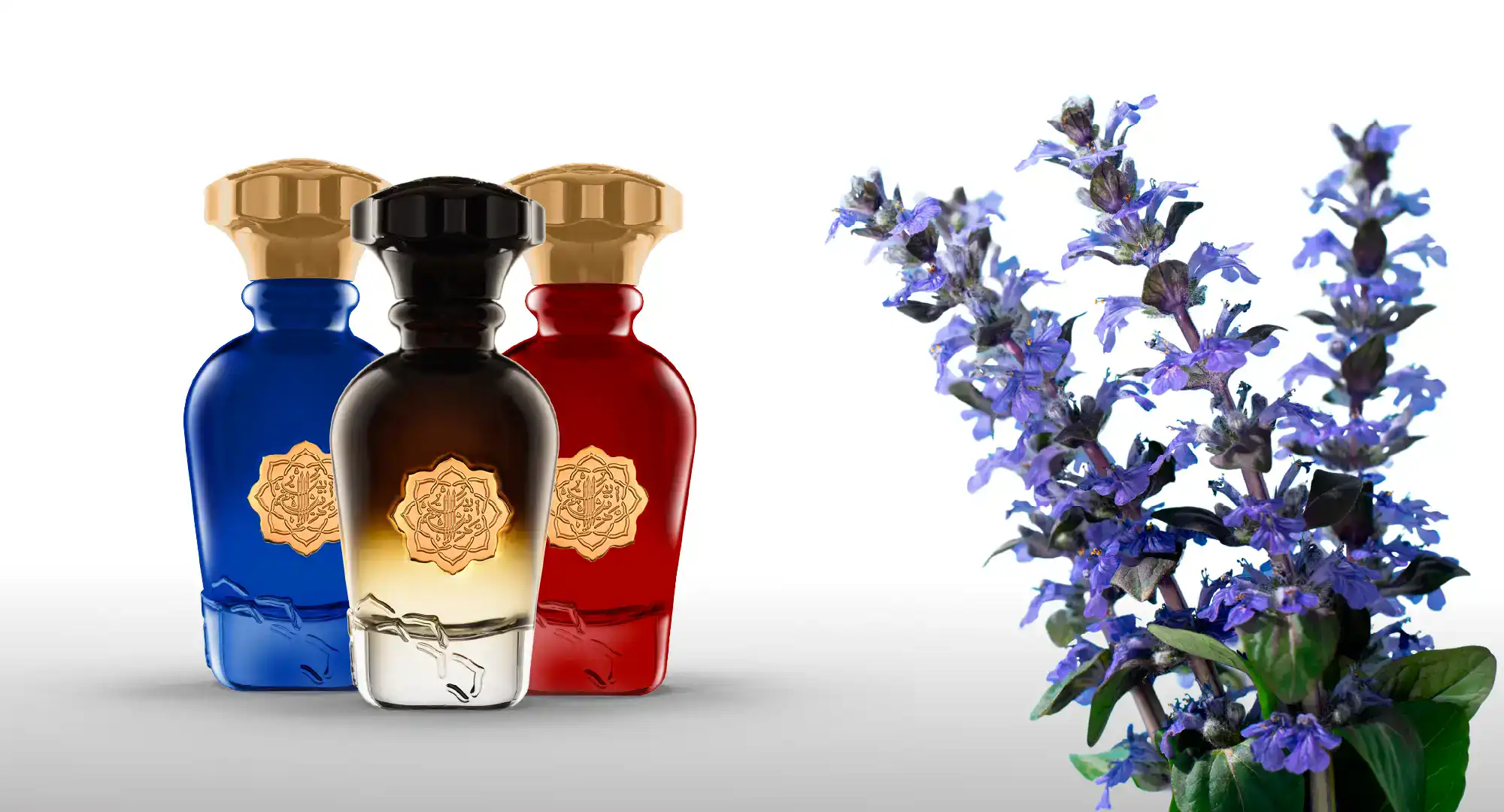 Looking for Perfumes Without Patchouli? We’ve Got the Perfect Collection for You