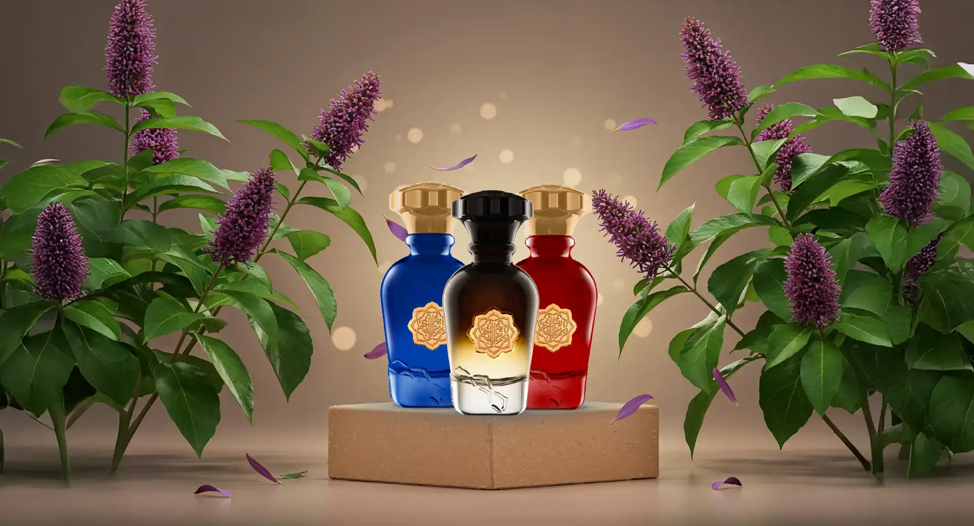 Our Bestselling Perfumes Without Patchouli – Handpicked for You