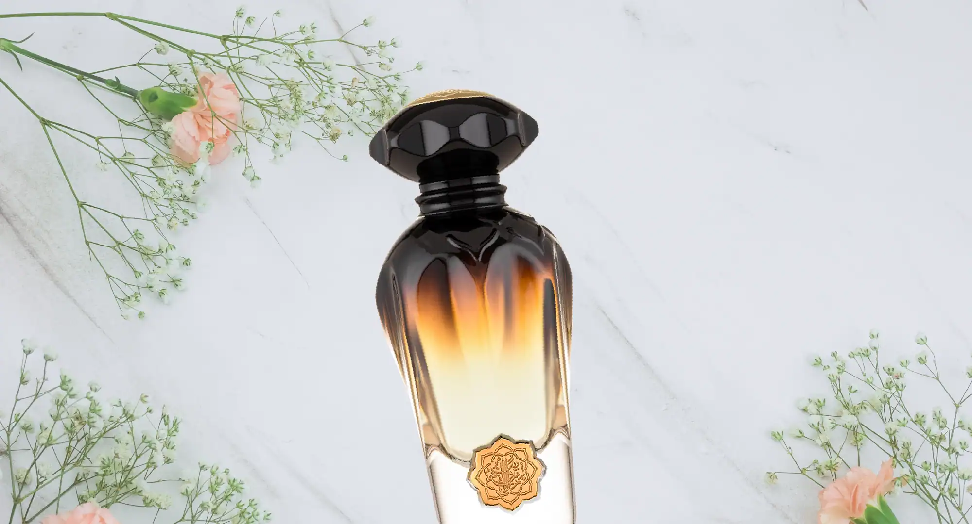 How to Shop With Us? – A Simple Guide