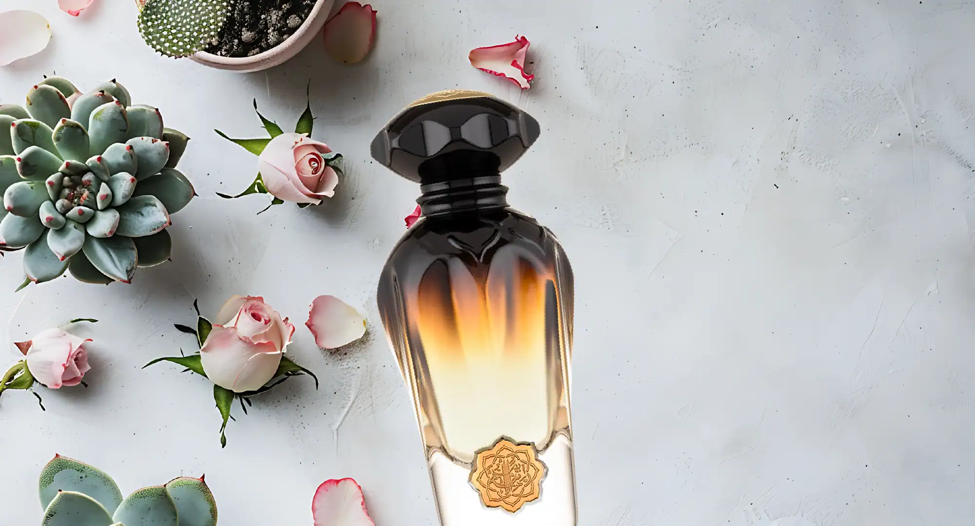 Our Exclusive Perfume Collections